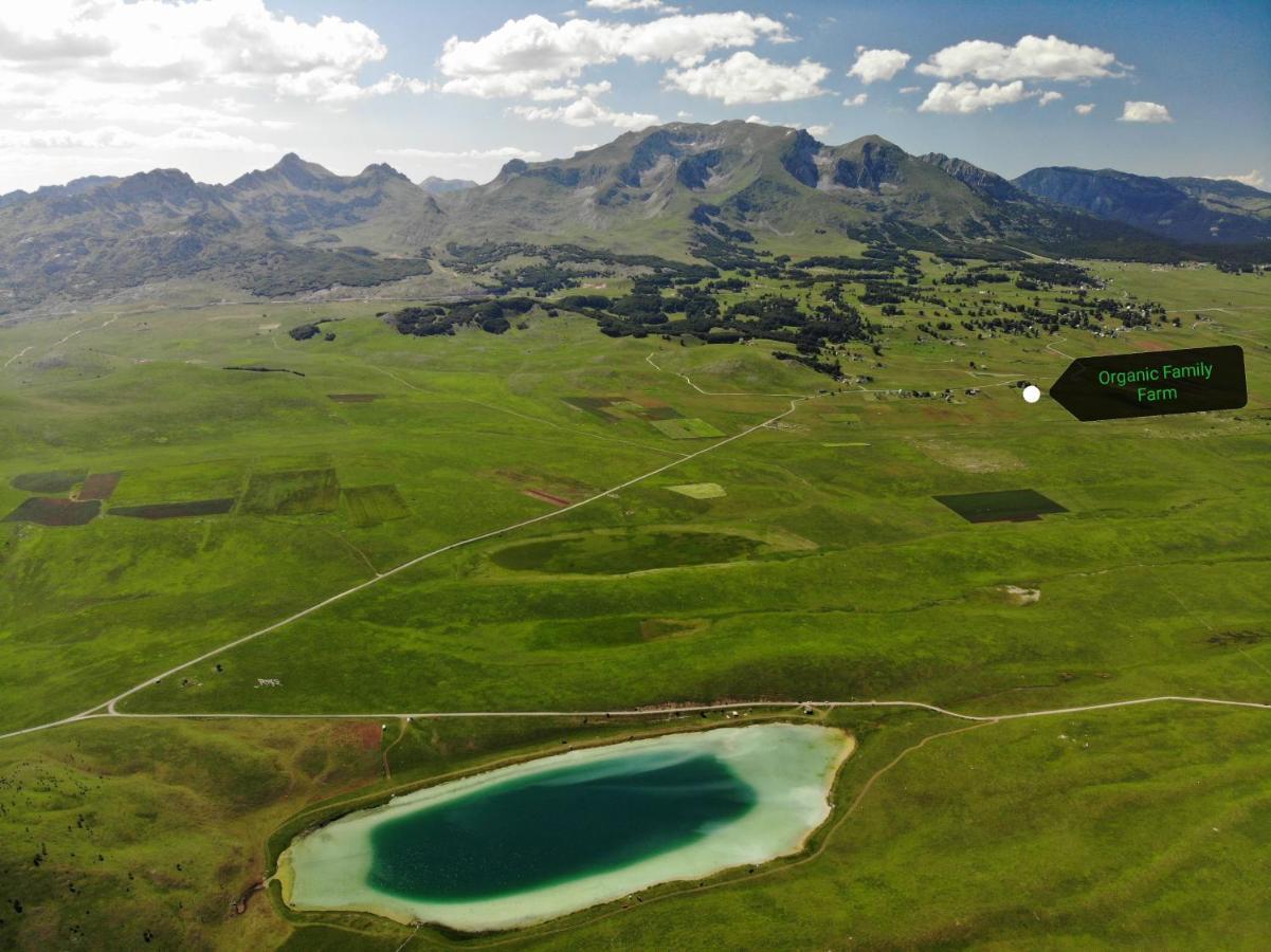 Organic Family Farm Hotel Žabljak Eksteriør billede