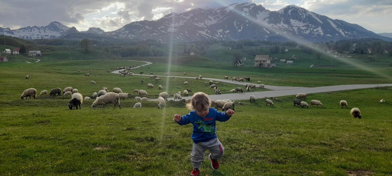 Organic Family Farm Hotel Žabljak Eksteriør billede