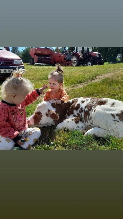 Organic Family Farm Hotel Žabljak Eksteriør billede