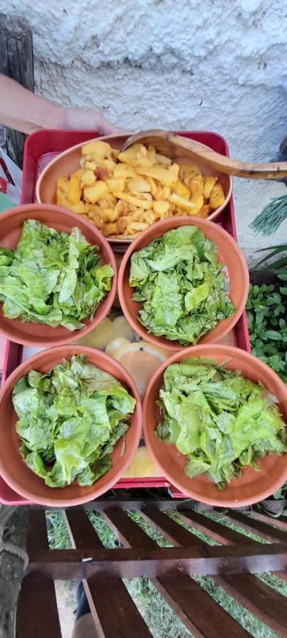 Organic Family Farm Hotel Žabljak Eksteriør billede