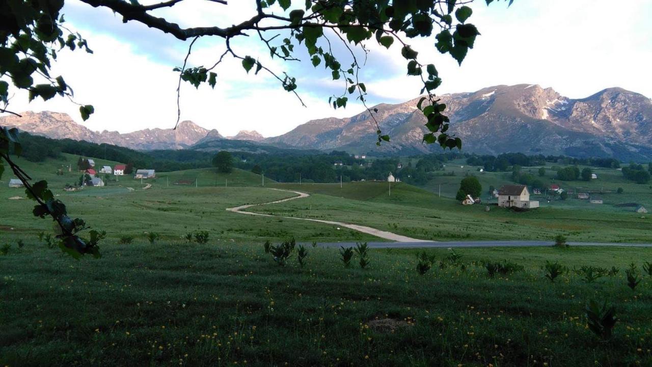Organic Family Farm Hotel Žabljak Eksteriør billede