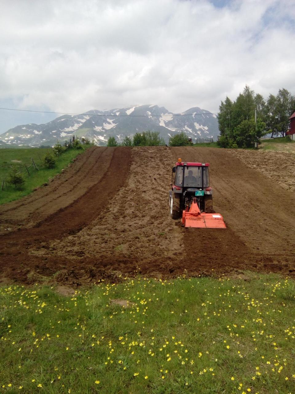 Organic Family Farm Hotel Žabljak Eksteriør billede