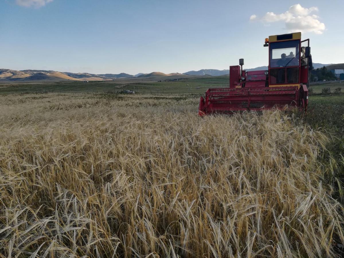 Organic Family Farm Hotel Žabljak Eksteriør billede